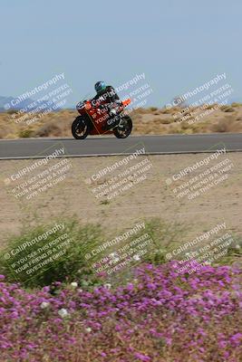 media/Mar-12-2023-SoCal Trackdays (Sun) [[d4c8249724]]/Turn 15 Inside Bloom (130pm)/